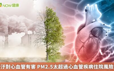 空汙對心血管有害 PM2.5太超過心血管疾病住院風險增